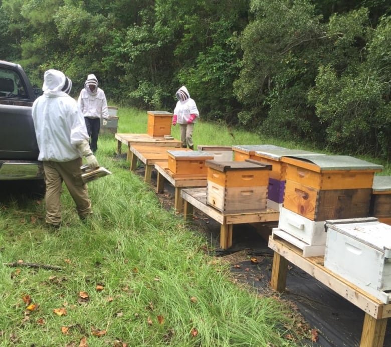All of our suppliers are practicing hygienic and sustainable bee farming practices.