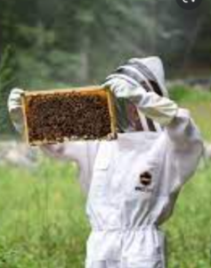 skilled bee farmers